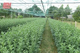 Trang trại hữu cơ không rác thải