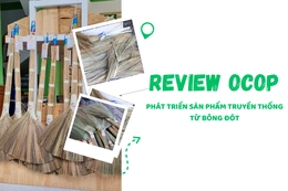 [REVIEW OCOP] Phát triển sản phẩm truyền thống từ bông đót