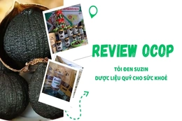 [REVIEW OCOP] Tỏi đen Suzin - Dược liệu quý cho sức khoẻ
