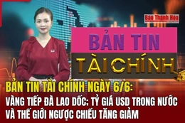 Bản tin Tài chính ngày 6/6: Vàng tiếp đà lao dốc; tỷ giá USD trong nước và thế giới ngược chiều tăng giảm