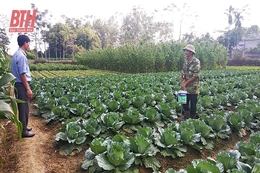 Cựu chiến binh huyện Vĩnh Lộc giúp nhau làm kinh tế giỏi