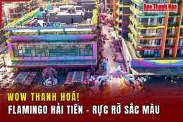 [Wow Thanh Hoá] Flamingo Hải Tiến - Rực rỡ sắc màu