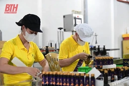 Xứ Thanh - Nơi hội tụ sản phẩm tinh hoa (Bài 2): Sản phẩm OCOP khẳng định thương hiệu, vươn tầm quốc tế