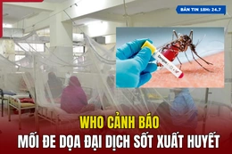 [Bản tin 18h]  WHO cảnh báo mối đe dọa đại dịch sốt xuất huyết