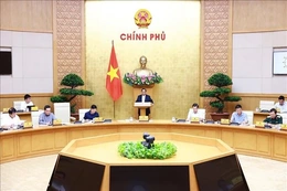 Chính phủ cho ý kiến đối với 2 dự án Luật, 2 đề nghị xây dựng luật