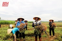 Đồng hành cùng hội viên phát triển kinh tế