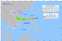 Công điện của Thủ tướng Chính phủ về việc chủ động ứng phó áp thấp nhiệt đới có khả năng mạnh lên thành bão