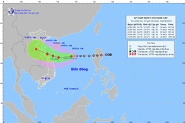 Áp thấp nhiệt đới cách quần đảo Hoàng Sa khoảng 250km