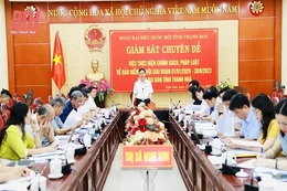Tăng cường xử lý tình trạng chậm đóng bảo hiểm xã hội