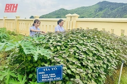 Nỗ lực thực hiện Bộ tiêu chí quốc gia về y tế