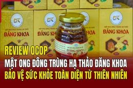 [REVIEW OCOP]  Mật ong đông trùng hạ thảo Đăng Khoa: Bảo vệ sức khỏe toàn diện từ thiên nhiên