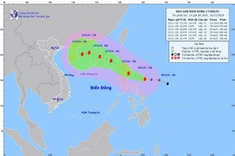 Chủ động ứng phó với diễn biến và tác động của bão đôi