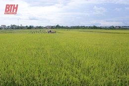 Nông nghiệp tăng trưởng ấn tượng