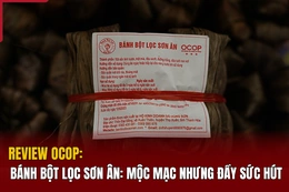[REVIEW OCOP] -  Bánh bột lọc Sơn Ân: Mộc mạc nhưng đầy sức hút