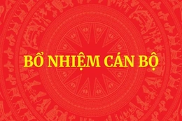 Thủ tướng bổ nhiệm ông Phạm Mạnh Cường giữ chức Phó Chủ nhiệm Văn phòng Chính phủ