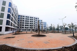 Rà soát quỹ đất 20% dành để xây dựng nhà ở xã hội trong dự án nhà ở thương mại