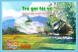 [Podcast] - Tản văn: Tre gọi tôi về trong miên man miền nhớ
