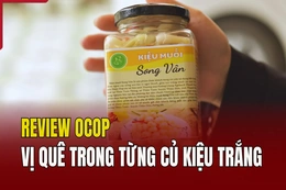[REVIEW OCOP] Vị quê trong từng củ kiệu trắng
