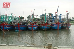 Bảo đảm các khu neo đậu tránh trú bão cho tàu cá