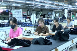 Thọ Xuân: Nhiều lao động có việc làm và thu nhập ổn định tại các doanh nghiệp