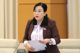 Ủy ban Thường vụ Quốc hội chỉ định Chủ tịch, các Phó Chủ tịch Hội đồng nhân dân cấp tỉnh sau sắp xếp