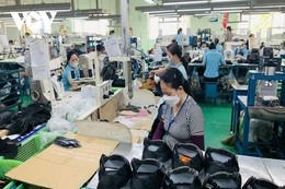 Bộ tứ Nghị quyết - Động lực quan trọng nhất của nền kinh tế