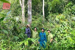 Giữ rừng dựa vào cộng đồng