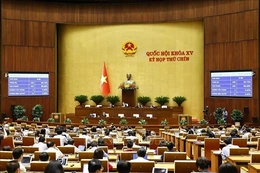 Quốc hội sẽ chất vấn về lĩnh vực tài chính, giáo dục và đào tạo