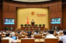 Ngày 14/6, Quốc hội biểu quyết thông qua Luật Thuế tiêu thụ đặc biệt (sửa đổi)