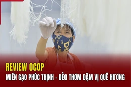 [REVIEW OCOP] Miến gạo Phúc Thịnh - Sợi miến dẻo dai, hương quê đậm đà