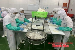 Phát triển bền vững nghề chế biến thủy, hải sản