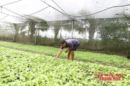 Từ nhu cầu đến thị trường: Khi thực phẩm an toàn thành xu thế