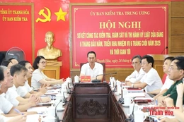 Sơ kết toàn quốc công tác kiểm tra, giám sát và thi hành kỷ luật của Đảng
