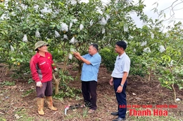 “Cầu nối” đưa nghị quyết của Đảng vào cuộc sống