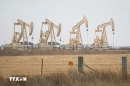 OPEC khẳng định dầu mỏ vẫn là trụ cột năng lượng toàn cầu đến 2050