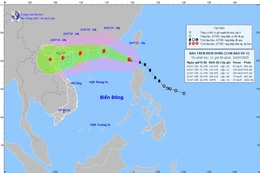 Bão Wipha đang di chuyển với tốc độ 20km/h và tiếp tục mạnh thêm