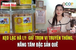[REVIEW OCOP]  Kẹo lạc Hà Ly: Giữ trọn vị truyền thống, nâng tầm đặc sản quê