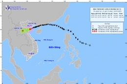 Bão đổ bộ đất liền các tỉnh Hưng Yên đến Ninh Bình