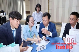 Mở rộng “cánh cửa” hội nhập qua các hiệp hội