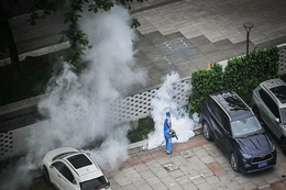 Bộ Y tế phát cảnh báo khẩn sau khi bệnh Chikungunya bùng phát mạnh ở Trung Quốc