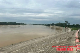 Cảnh báo nguy cơ cao ngập lụt tại khu vực ven sông suối nhỏ