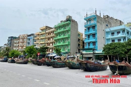100% tàu thuyền của ngư dân Sầm Sơn đã vào nơi tránh trú an toàn