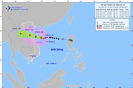 Dự báo chiều 25/8, bão số 5 vào đất liền Thanh Hóa đến Quảng Trị 