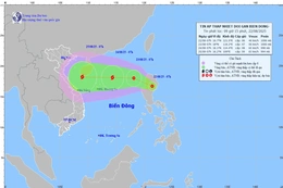 Vùng áp thấp đã mạnh lên thành áp thấp nhiệt đới