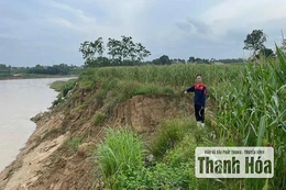 Mưa lũ thêm nỗi lo sạt lở bờ sông