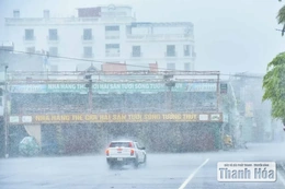 Ngày 31/8, khu vực Thanh Hóa có mưa rào và dông rải rác
