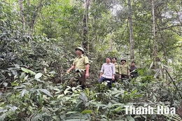 Hạt Kiểm lâm Bá Thước tuyên truyền nâng cao hiệu quả bảo vệ rừng