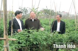 Ông “bộ trưởng của nông dân” và “mối duyên nợ” với quê Thanh