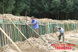 Công bố tình huống khẩn cấp sạt lở công trình kè bờ biển xã Hoằng Tiến