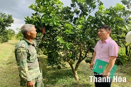 Tạo điều kiện cho người dân tiếp cận nguồn vốn chính sách